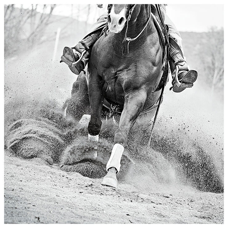 35 X 35in Reining In Gallery Art Horses, Horse posters, Reining horses