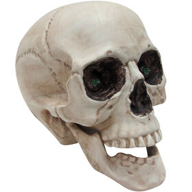 Lightup Skull with LED Eyes