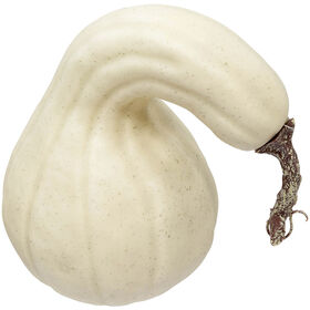 Cream Gourd 6.5 x 6.5 Inch